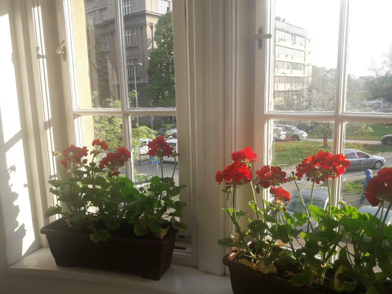 Apartment Lea Lux Belgrad Dış mekan fotoğraf