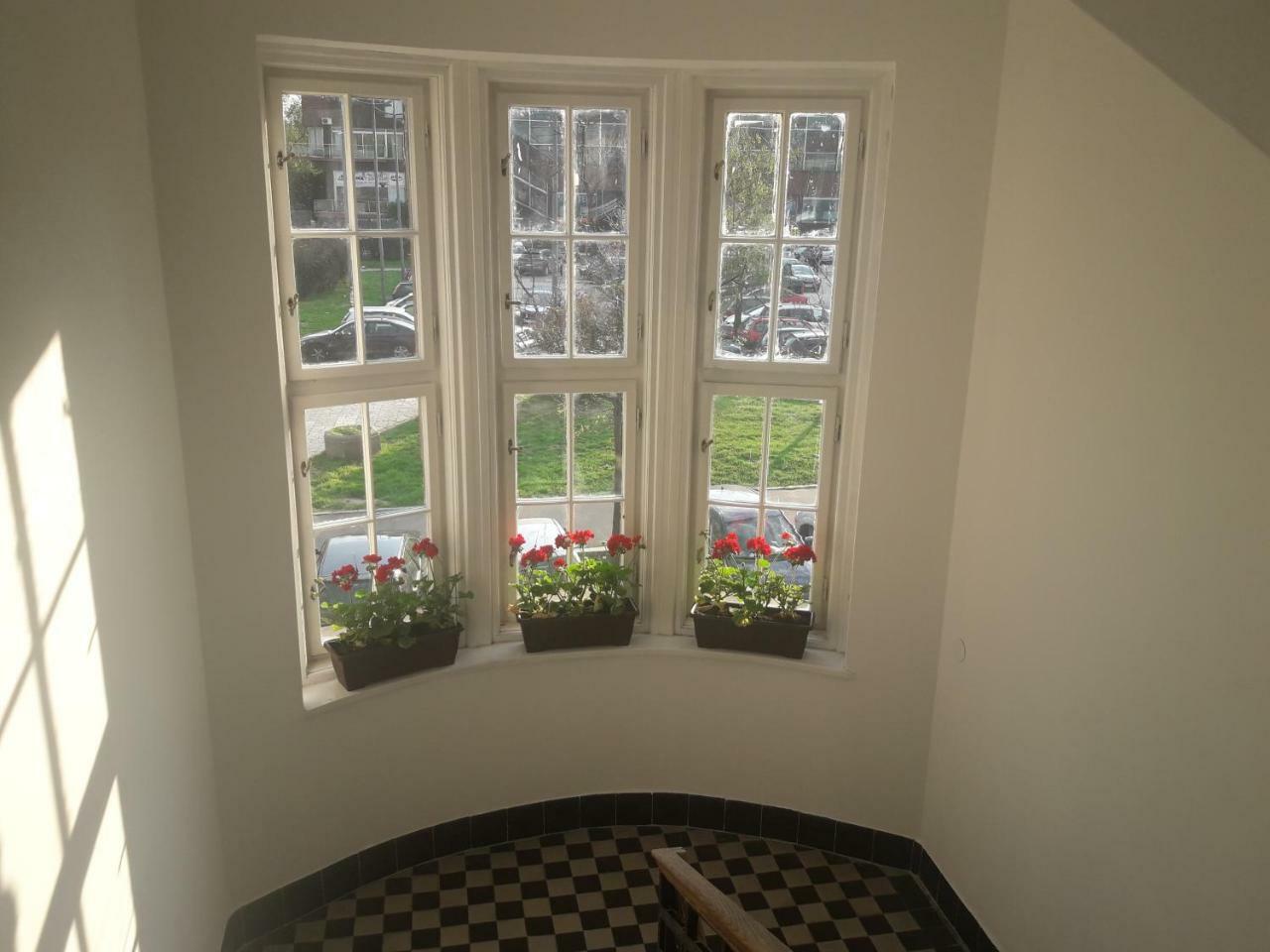 Apartment Lea Lux Belgrad Dış mekan fotoğraf